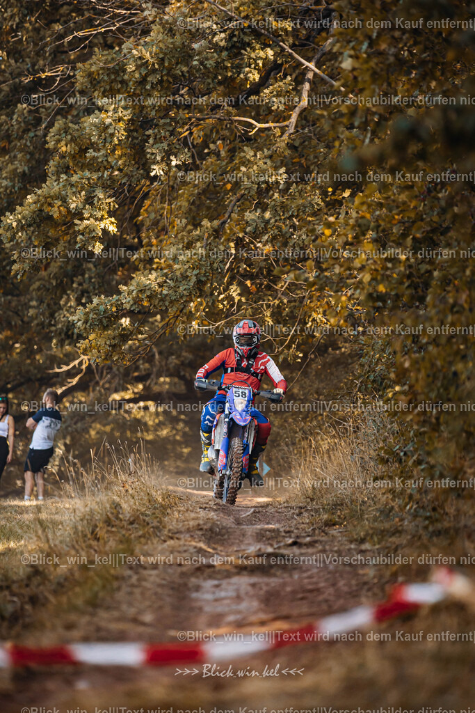 E68A6355 | blick_win_kel