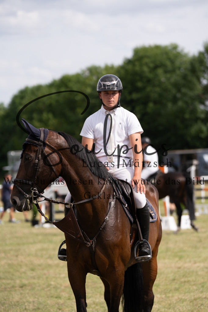 A7V02555 | Pferdefotograf