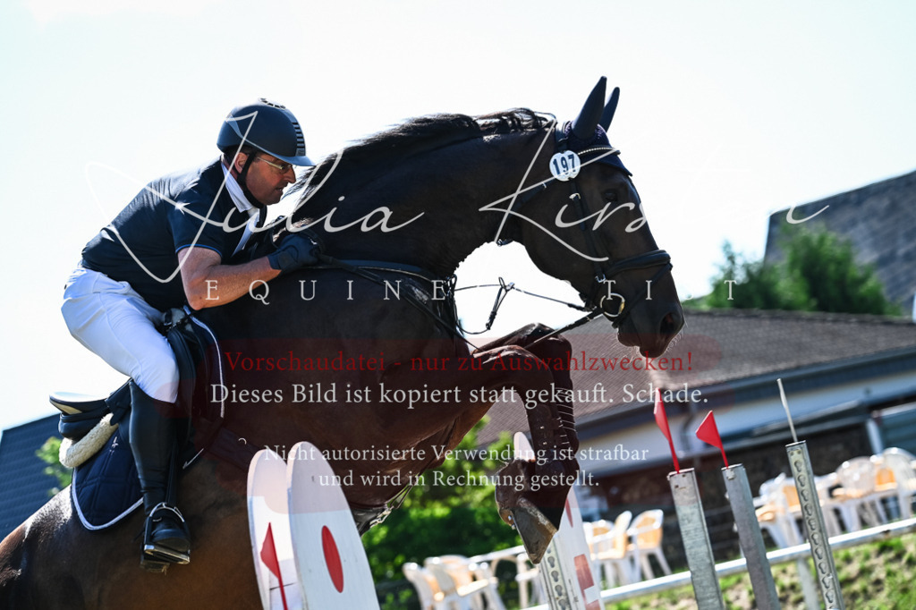 DSC_1716 | Pferde- und Turnierfotografie in Westsachsen. Pferdeportraits, Auftragszeichnungen und intuitive Kunst.