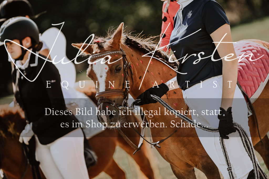 DSC_8952 | Pferde- und Turnierfotografie in Westsachsen. Pferdeportraits, Auftragszeichnungen und intuitive Kunst.