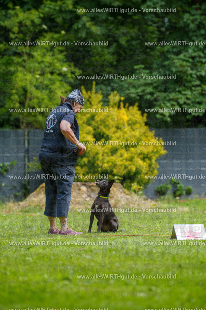 @allesWIRTHgut_Tierfotografie - www.allesWIRTHgut.de - 124559-7R509443 | Professionelle Tierfotografie in Mönchengladbach von Daniel Wirth (allesWIRTHgut). Liebevolle & natürliche Bilder von Hunden & Katzen für unvergessliche Erinnerungen.