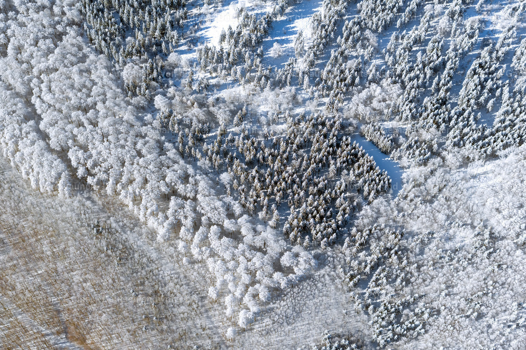 4043368 | winterliche Baumstrukturen in der Rhön