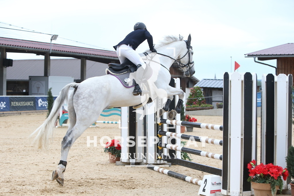 DL2Q3965 | Willkommen bei Brunnmayr - Design & Fotografie – Ihrem Spezialisten für Reitturniere und Pferdeveranstaltungen in Oberösterreich, Salzburg und Bayern! Seit über 17 Jahren sind wir leidenschaftlich dabei.