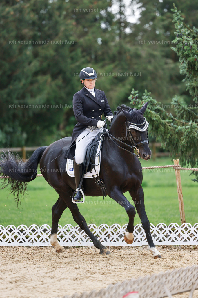 07-093-DRESSUR  S___  -StoibPH-5035 | working equitationturnier fotograf videograf stoibphotography marixx film working equitation deutschland reitsport turnierfotografie eventfotografie equestrian events