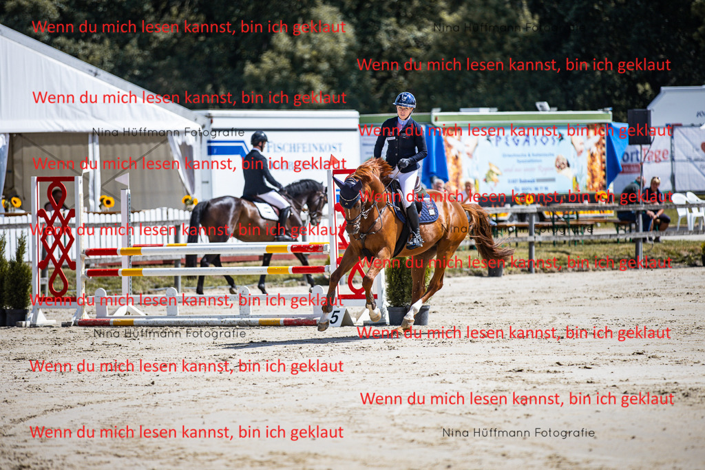 BK1A5039 | Turnierbilder Turnierfotos Nina Hüffmann Turnierfotografie Pferdefotografie Tierzeichnung Haustierzeichnung Pferdezeichnung Hundezeichnung Videograf  - Realisiert mit Pictrs.com
