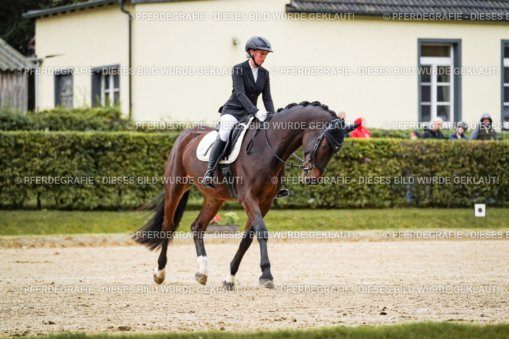 DSC06457 | Pferdegrafie