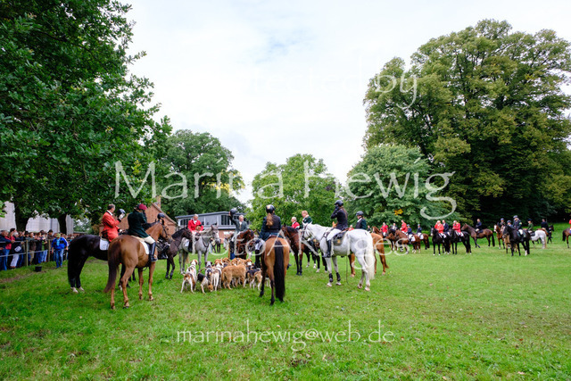 Jagd Perdoel 26 Fuji-9761_MarinaHewig | Fotografie, FotoArt, PferdesportArt, Pferdesportfotografie, Landschaftsfotografie, Reisefotografie, Reise, Pferde - Realisiert mit Pictrs.com