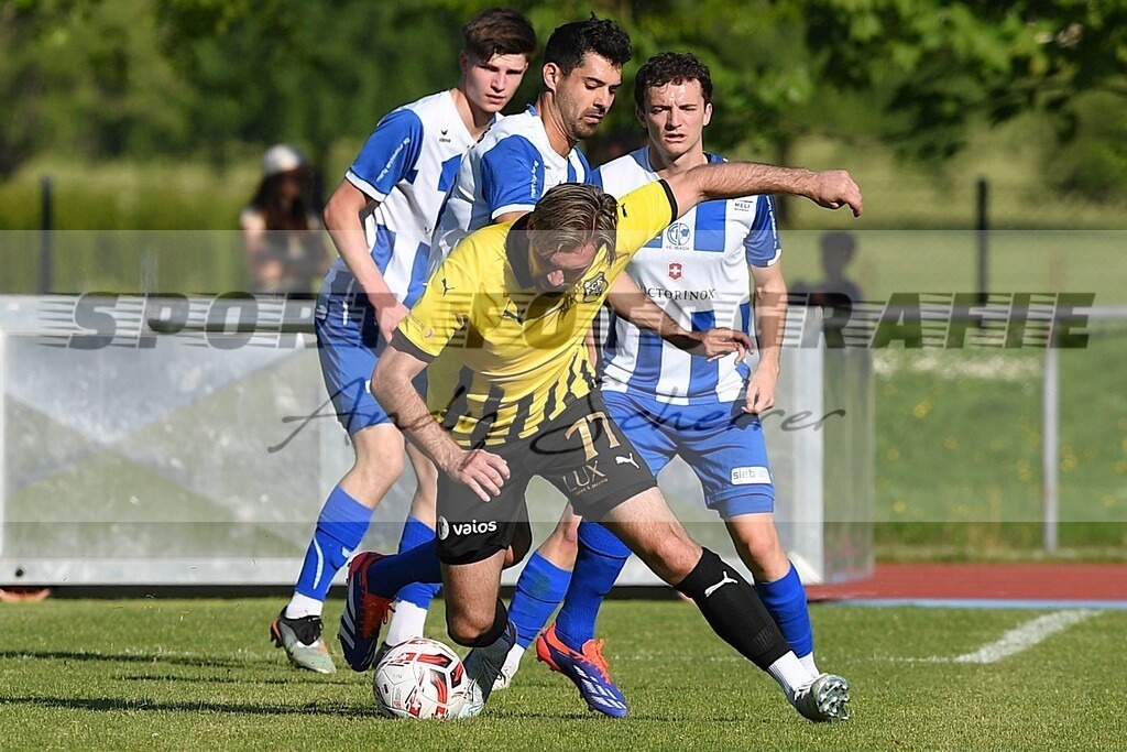 aaaaDSC_5282 | Kaufen Sie Sportbilder im Onlineshop von Andy Scherrer Sportfotografie. Faszinierende Bilder von Sportevents aus der ganzen Schweiz. Fussball, Frauenfussball, Unihockey, Handball, Schwingen und weiteren Sportarten. - Realisiert mit Pictrs.com