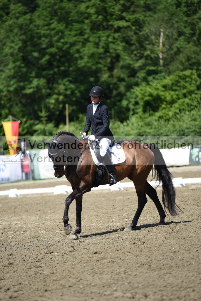 DSC_0115 | equestrian-live-com