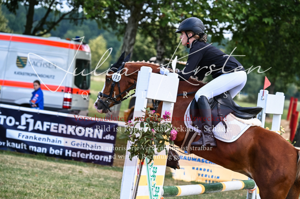 DSC_8088 | Pferde- und Turnierfotografie in Westsachsen. Pferdeportraits, Auftragszeichnungen und intuitive Kunst.