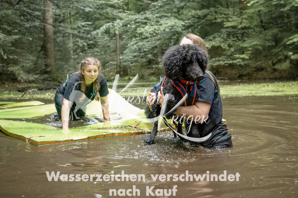 1433_ZZ92734-Bearbeitet | kk-dogfotos