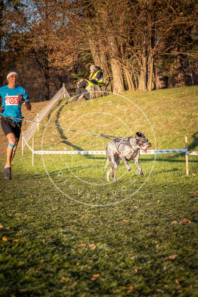 CaniXpix_0L8A1417 | Hundefotografie, Tierfotograf, Pfotenfotografie, Fotoshooting Hund, Hunde Portrait, Hundesport, Hundeportraits, Heideshooting, Hunde, Sportfotograf, Hundefotograf, Turnierhundsport, THS,  - Realisiert mit Pictrs.com