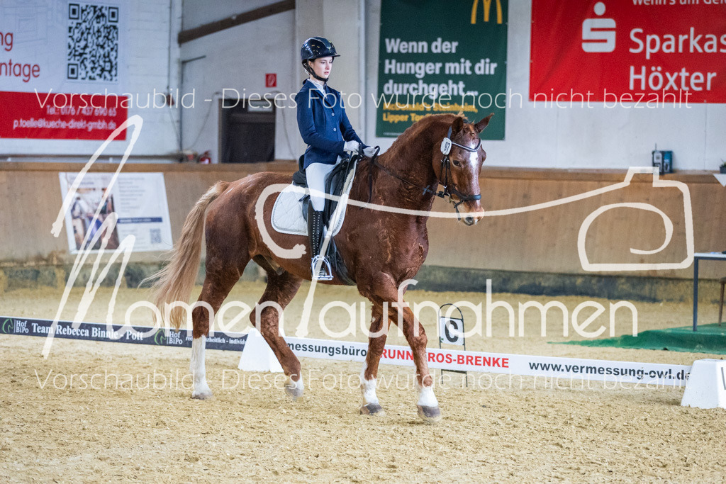 Sth-WBO25-EDr-127 | MomenTaufnahmen Pferdesportfotos