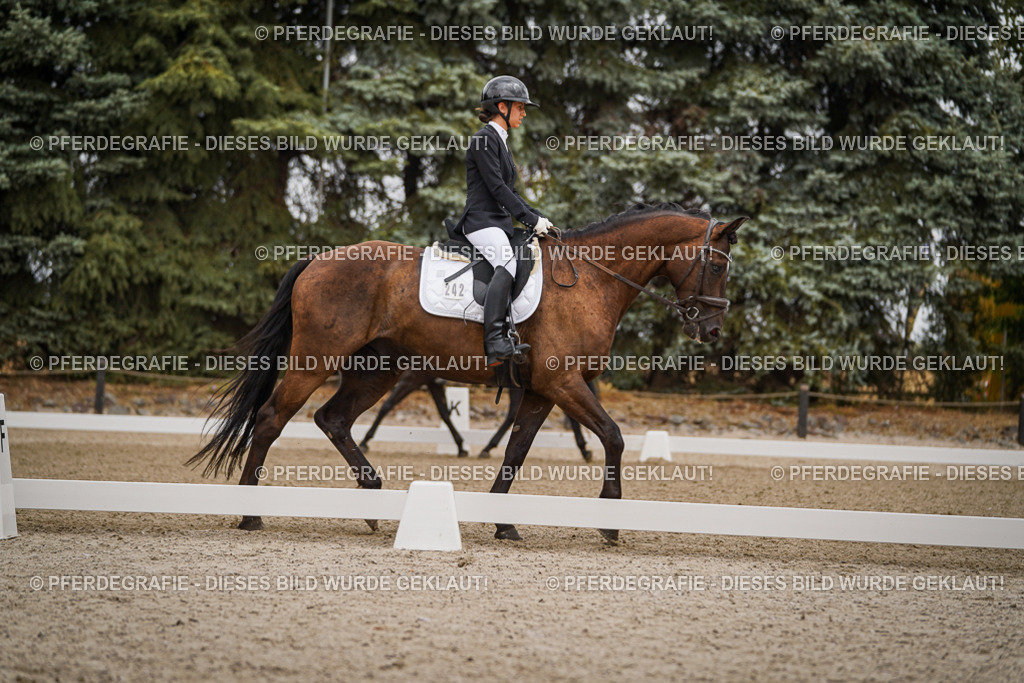 DSC06193 | Pferdegrafie