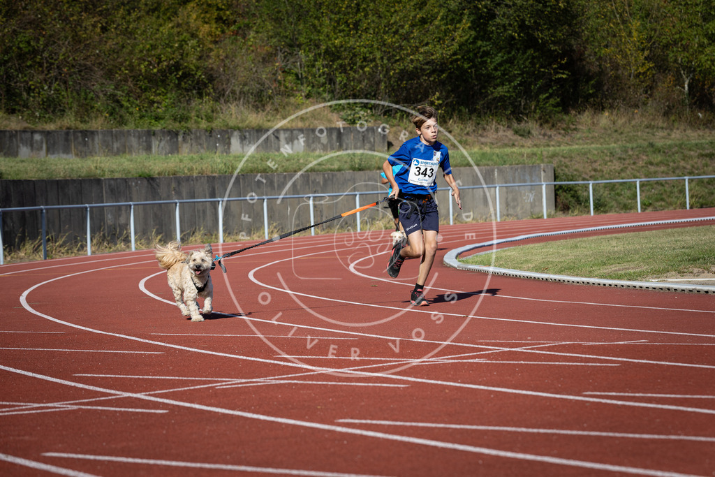 Pfotenfotografie_DV3A8485 | Hundefotografie, Tierfotograf, Pfotenfotografie, Fotoshooting Hund, Hunde Portrait, Hundesport, Hundeportraits, Heideshooting, Hunde, Sportfotograf, Hundefotograf, Turnierhundsport, THS,  - Realisiert mit Pictrs.com