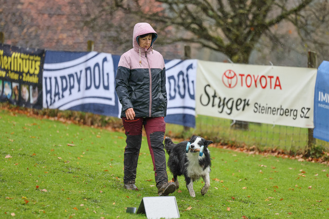 2025_Rally_Obedience_SM-121 | Ich fotografiere Hundeausstellungen, Sportanlässe, Zuchtstätten, Hundezucht, Hundeportrait, Lagotto - Realisiert mit Pictrs.com