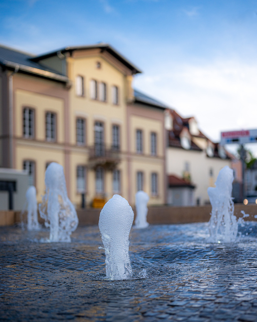 _DSC6960 | renerovisanfotoart.com