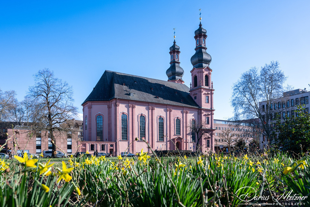 DSC_4331 | Fotografien, Fotos und Bilder aus Mainz, Frankfurt, Wiesbaden und anderen Orten auf der Welt - Fotografiert von Darius Metzner