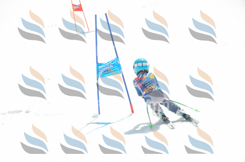 _ELE6465 | holidayphoto