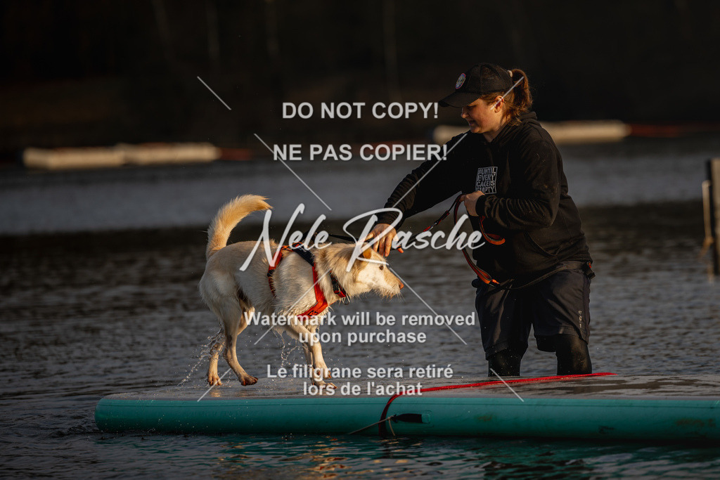 nelerasche_Hulsbeek_Sa1700-1730_454 | nelerasche