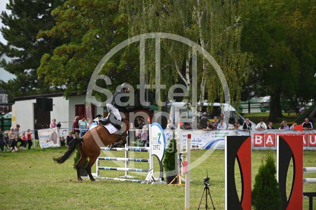 DSC_2931 | sattelsport - Realisiert mit Pictrs.com