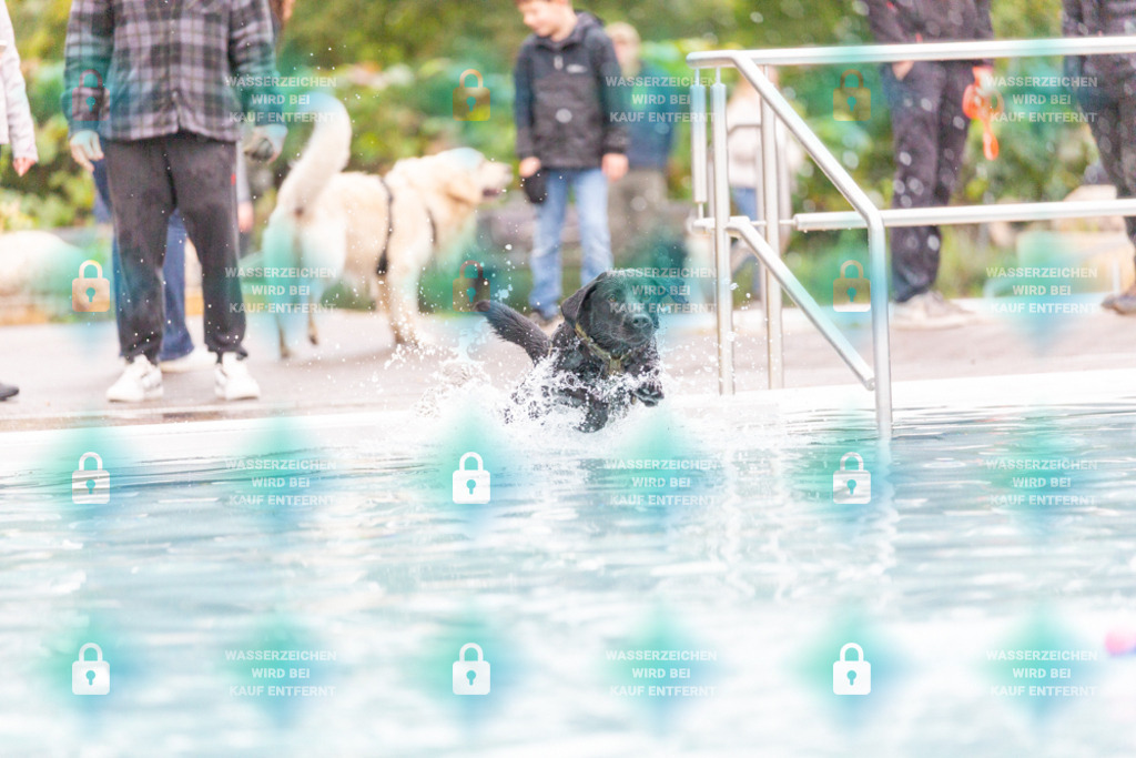 _HP_7358_1000o | HetPix, HetPix Fotodesign, Fotografie, Fotodesign, Webshop, Sportfotografie, Portraitfotografie, Onlineshop, Sportfotografie, Polch, Motorsportfotografie, Eventfotografie