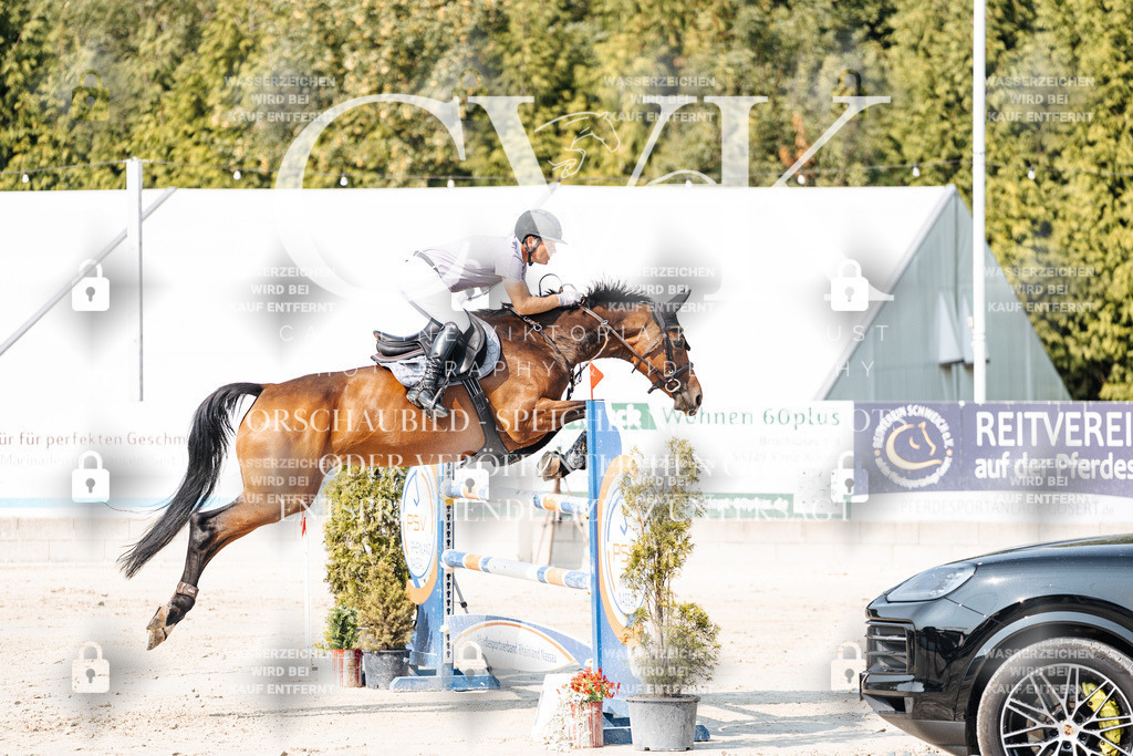 CK902488 | Turnierfotografie Pferdefotografie Trier Rheinland-Pfalz Pferdesport Reitsport Tierfotografie Sportfotografie Pferdevideo Pferdevideografie Equestrianvideography equestrianphotography  - Realisiert mit Pictrs.com