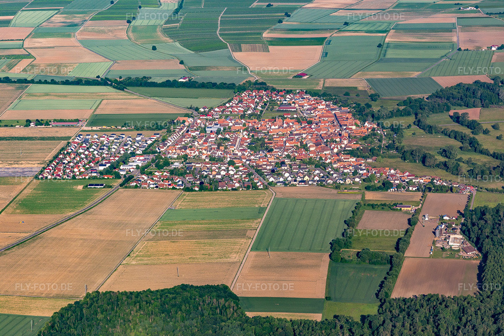 Luftbild:  in Steinweiler im Bundesland Rheinland-Pfalz in Deutschland. – Foto: IMG_132241.jpg vom 28.05.2022 durch Werner Riehm/FLY-FOTO.de – Auflösung des Originals: 5472 x 3648 px – steinweiler.eu - Die Internetpräsenz der Ortsgemeinde Steinweiler / Pfalz