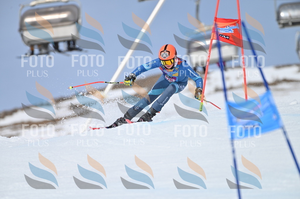 BGV_4083 | holidayphoto