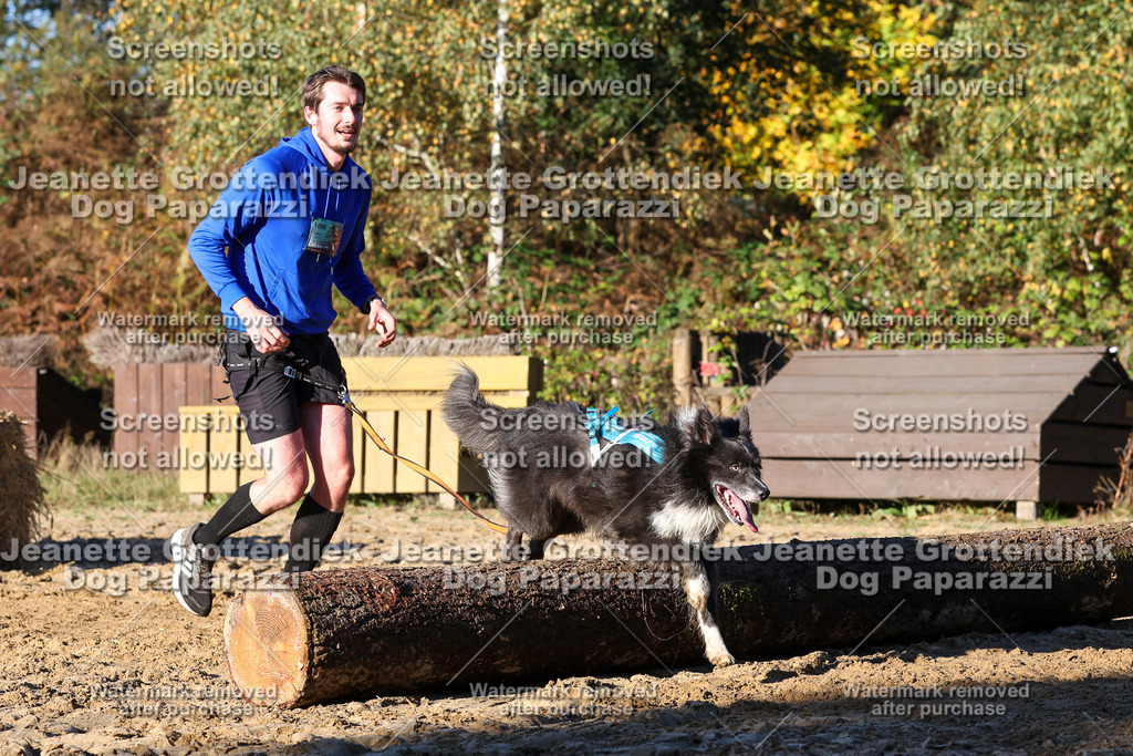 Dog Paparazzi - Strongdog 10-25-1369 | Dog Paparazzi Jeanette Grottendiek Fotografie & Videografie - Realisiert mit Pictrs.com