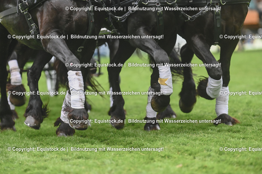 20240517_Lange-Pferdenacht_0195 | Foto: Thomas Hartig