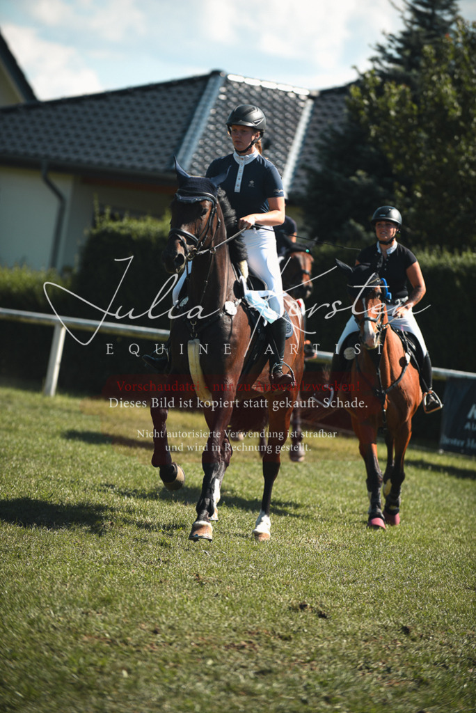 DSC_7342 | Pferde- und Turnierfotografie in Westsachsen. Pferdeportraits, Auftragszeichnungen und intuitive Kunst.