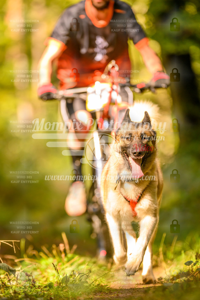 MompixPhotography_Yens2025_B2-94 | PayLife