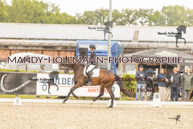 SW 4-959 | mandyhollmannphotographie