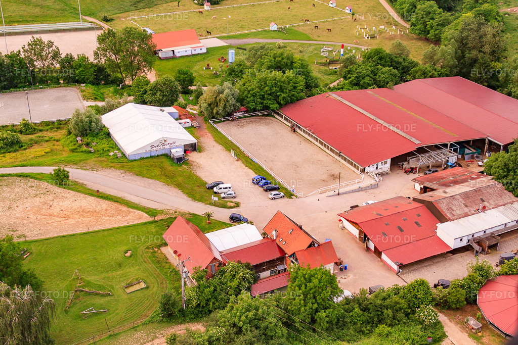 Luftbild: Haras de la Née in Mothern im Bundesland Bas-Rhin in Frankreich.Foto: IMG_28751.jpg vom 14.06.2010 durch Werner Riehm/FLY-FOTO.deAuflösung des Originals: 4752 x 3168 px