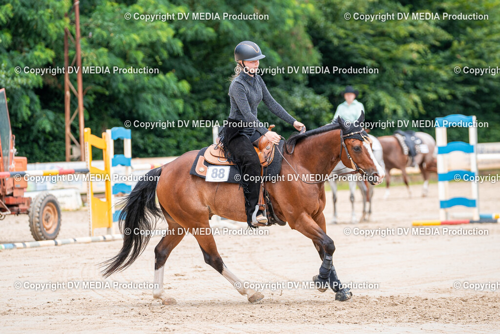 Zeiskam Tag 3-784 | dv-media-shop - Realisiert mit Pictrs.com