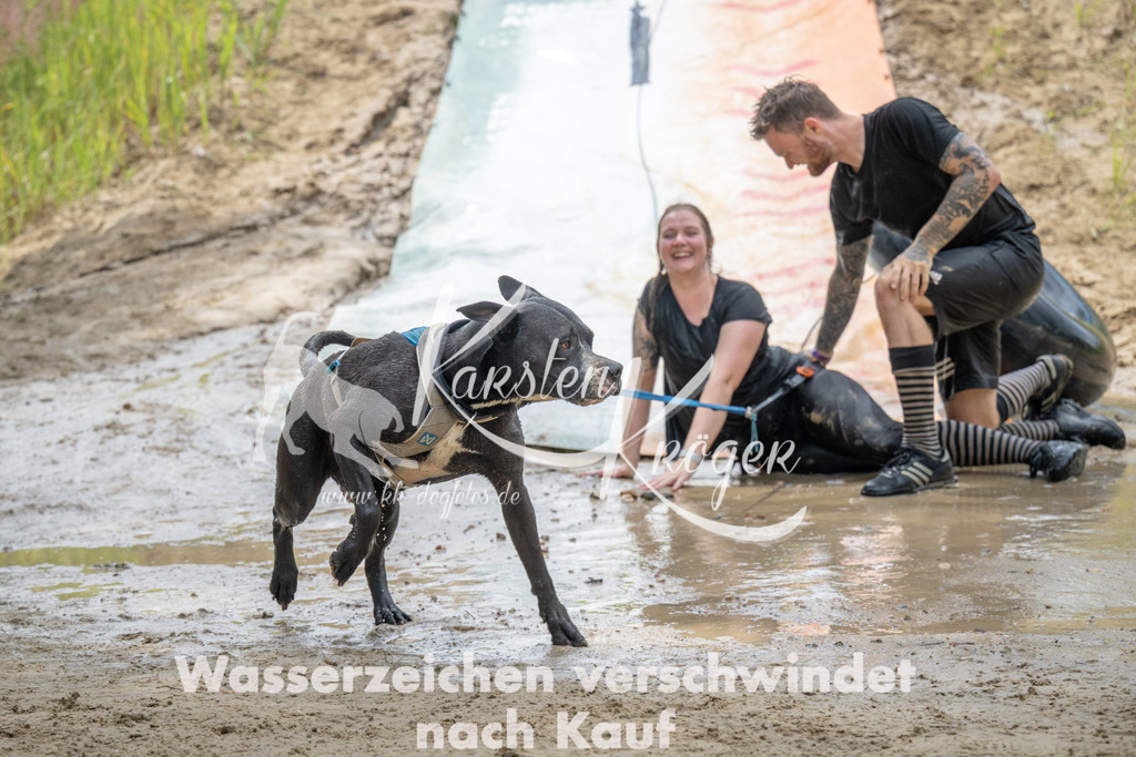 1242_ZZ98930 | kk-dogfotos