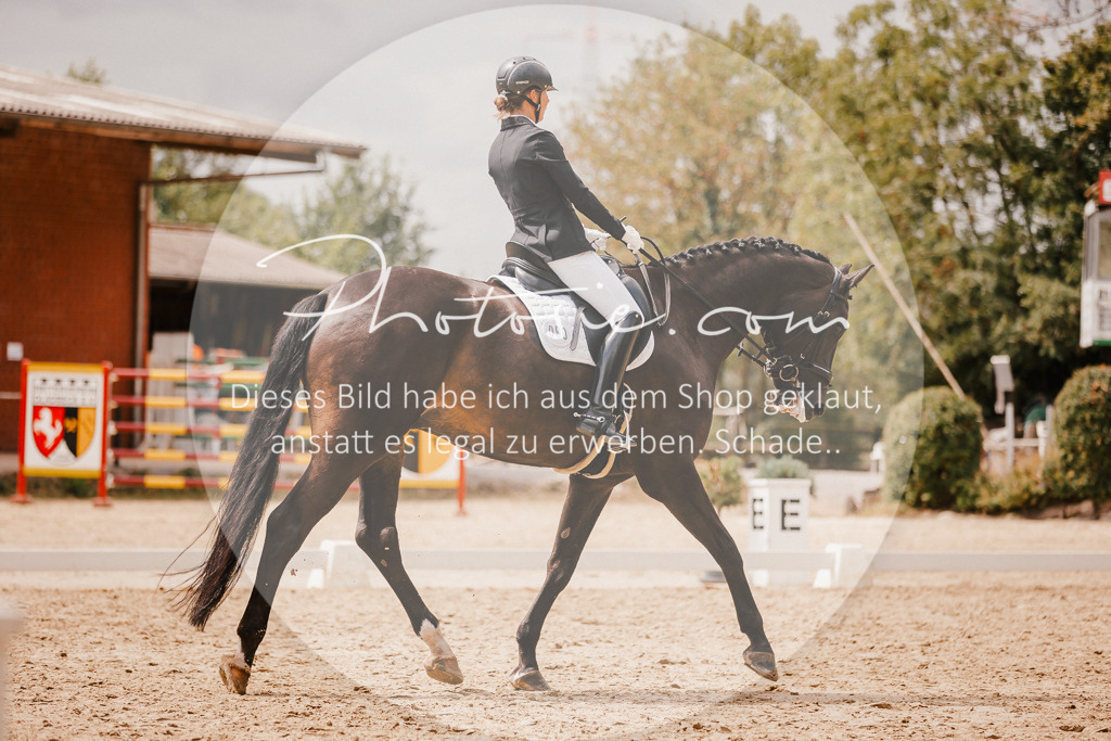 3I6A6132 | Stimmungsvolle Portraits und Reitsportfotografie im Ruhrgebiet und im Münsterland.

Pferdefotografie, Hundefotografie, Tierfotografie, Reportagen, Portraits von Tier und Mensch, Turnierfotografie in Bochum, Recklinghausen, Marl, Haltern am See, Dülmen.. - Realisiert mit Pictrs.com