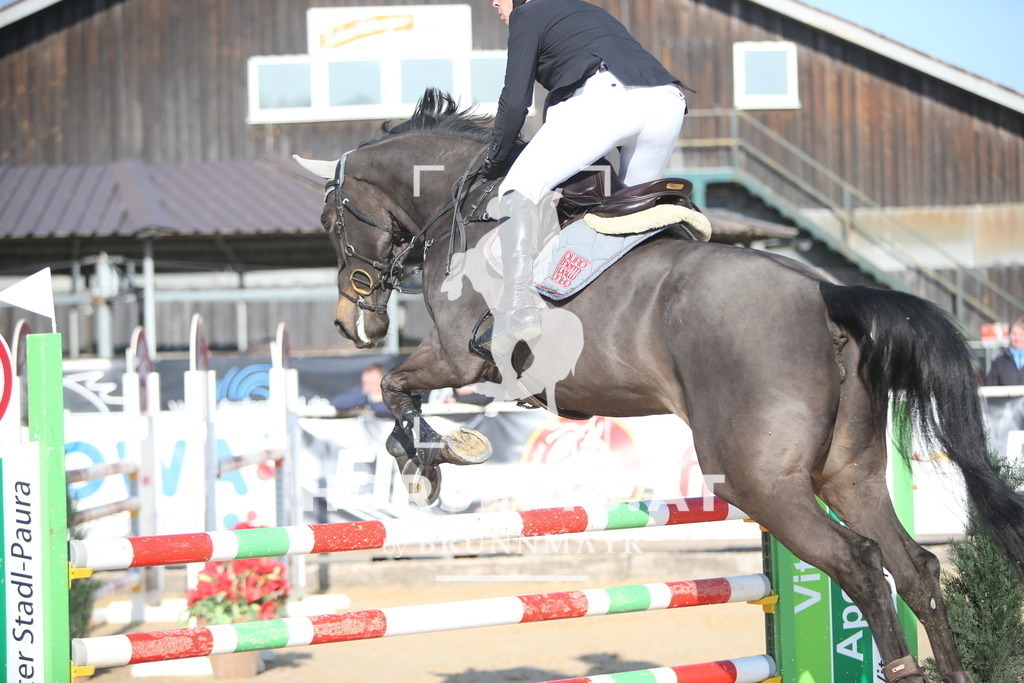 AS8V4994 | Willkommen bei Brunnmayr - Design & Fotografie – Ihrem Spezialisten für Reitturniere und Pferdeveranstaltungen in Oberösterreich, Salzburg und Bayern! Seit über 17 Jahren sind wir leidenschaftlich dabei.