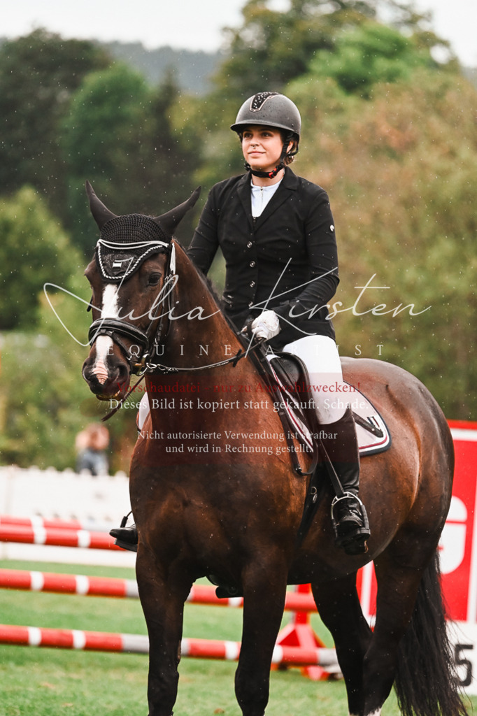 DSC_6307 | Pferde- und Turnierfotografie in Westsachsen. Pferdeportraits, Auftragszeichnungen und intuitive Kunst.