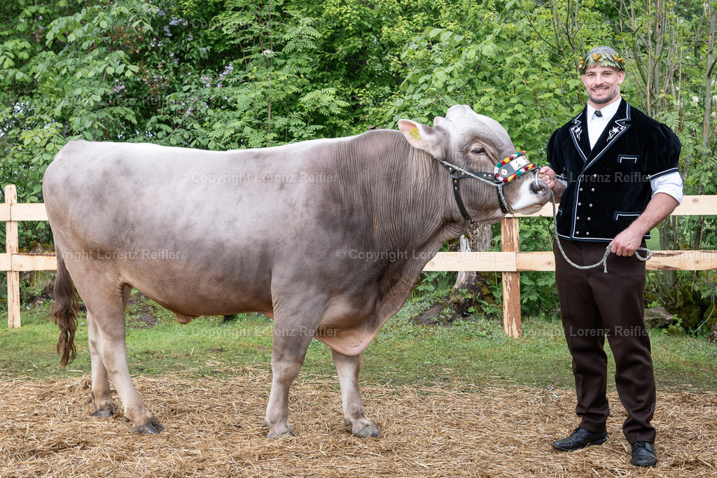 Schwingen -  St.Galler Kantonales 2025 | Unterwasser, 25.5.25, Schwingen - St.Galler Kantonales.