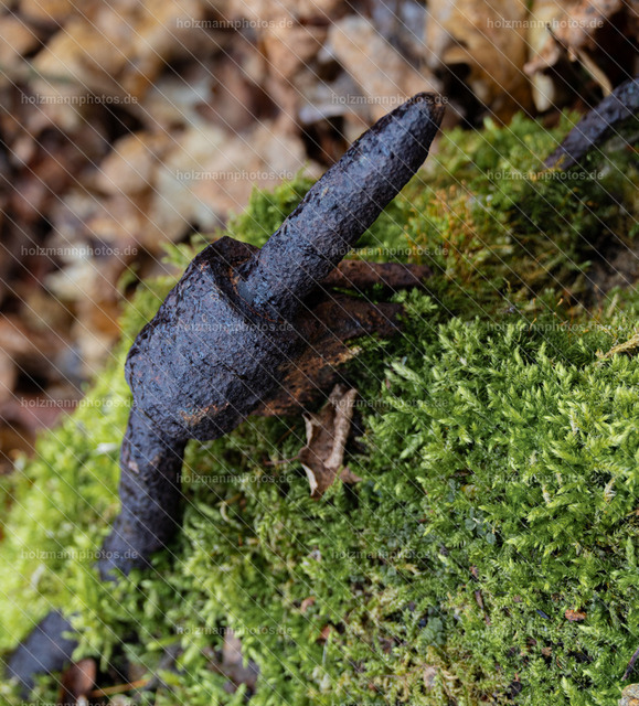 _MG_8646 | Fotograf Leipzig für Hochzeiten, Familienfeste & Porträts. Persönlich, ehrlich & echt – Emotion im Fokus. Jetzt Fotoshooting bei Holzmannphotos buchen!