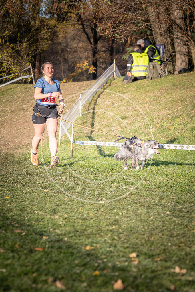 CaniXpix_0L8A0006 | Hundefotografie, Tierfotograf, Pfotenfotografie, Fotoshooting Hund, Hunde Portrait, Hundesport, Hundeportraits, Heideshooting, Hunde, Sportfotograf, Hundefotograf, Turnierhundsport, THS,  - Realisiert mit Pictrs.com
