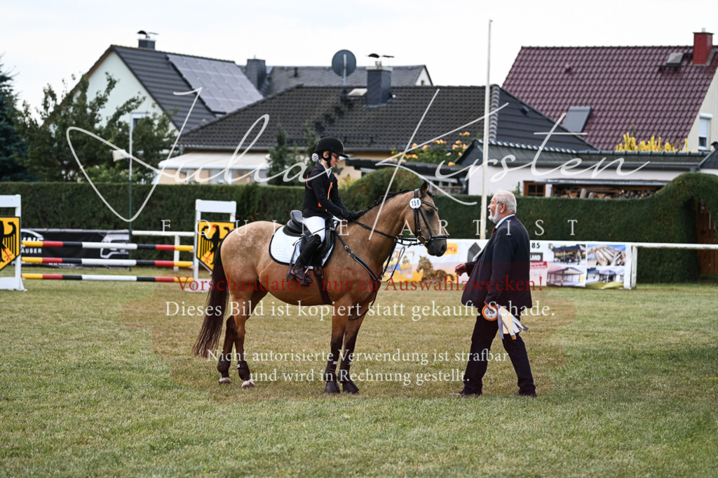 DSC_5758 | Pferde- und Turnierfotografie in Westsachsen. Pferdeportraits, Auftragszeichnungen und intuitive Kunst.