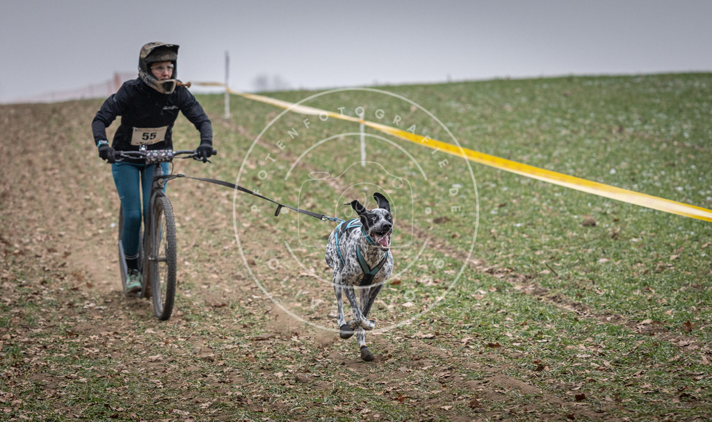 Pfotenfotografie_DV3A1191 | Hundefotografie, Tierfotograf, Pfotenfotografie, Fotoshooting Hund, Hunde Portrait, Hundesport, Hundeportraits, Heideshooting, Hunde, Sportfotograf, Hundefotograf, Turnierhundsport, THS,  - Realisiert mit Pictrs.com