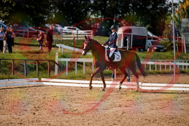 2026_10_03_Siefer-Hof_123525_Z63_53477547 | Professionelle Reitsport-, Turnier- und Eventfotografie von Robert Broda. Galerien mit ausgewählten und bearbeiteten Bildern direkt online ansehen und bestellen.