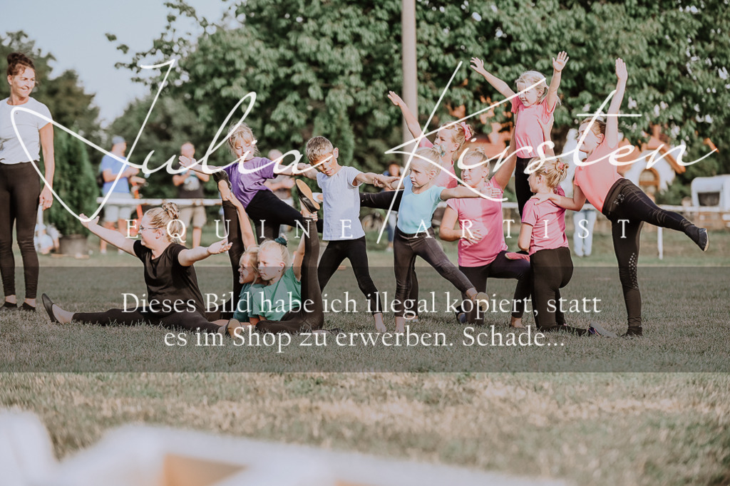 DSC_0046 | Pferde- und Turnierfotografie in Westsachsen. Pferdeportraits, Auftragszeichnungen und intuitive Kunst.