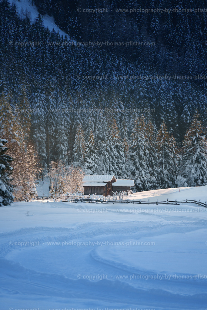Winter Madseit Tux copyright  Thomas Pfister-3 | PHOTOGRAPHY BY THOMAS PFISTER