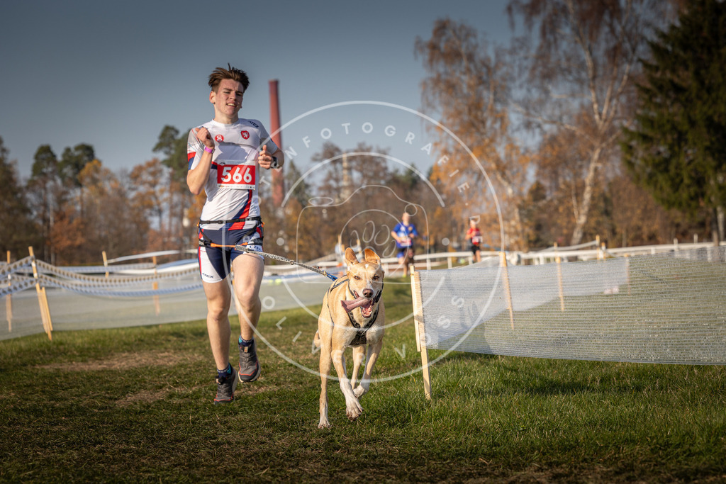 CaniXpix_0L8A9535 | Hundefotografie, Tierfotograf, Pfotenfotografie, Fotoshooting Hund, Hunde Portrait, Hundesport, Hundeportraits, Heideshooting, Hunde, Sportfotograf, Hundefotograf, Turnierhundsport, THS,  - Realisiert mit Pictrs.com