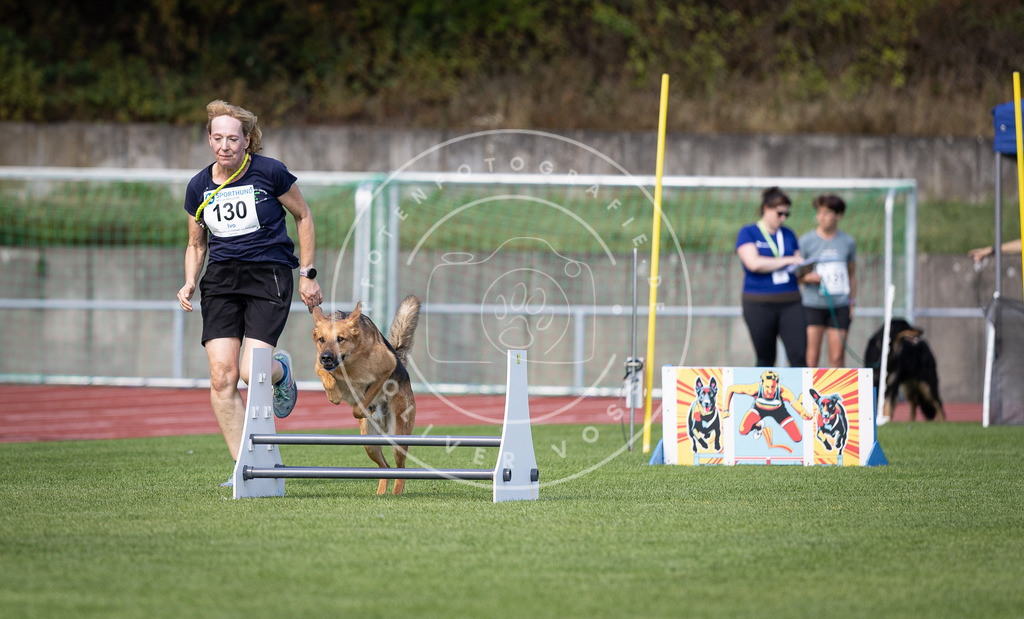 Pfotenfotografie_DV3A8751 | Hundefotografie, Tierfotograf, Pfotenfotografie, Fotoshooting Hund, Hunde Portrait, Hundesport, Hundeportraits, Heideshooting, Hunde, Sportfotograf, Hundefotograf, Turnierhundsport, THS,  - Realisiert mit Pictrs.com